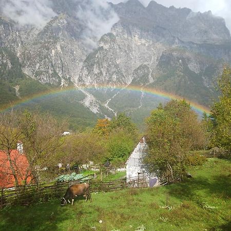 Bujtina Milani Bed & Breakfast Shkodër Exterior foto
