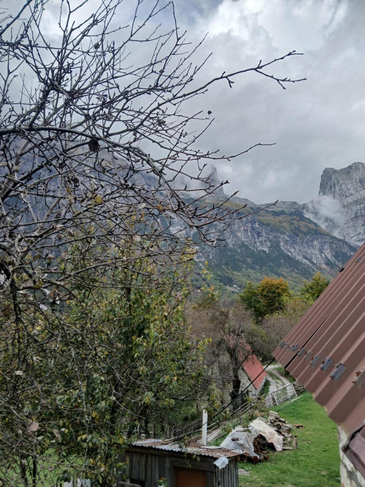 Bujtina Milani Bed & Breakfast Shkodër Exterior foto