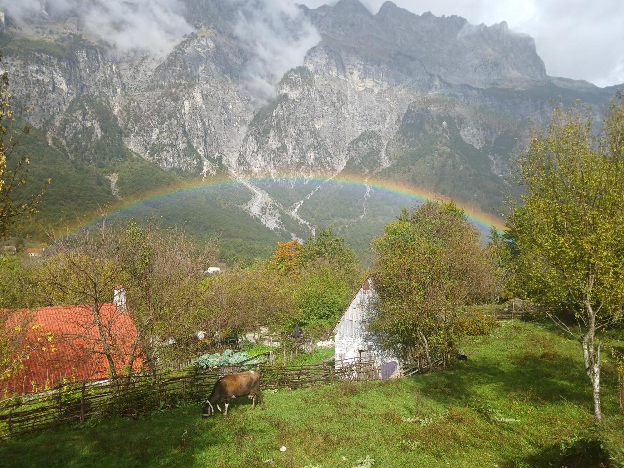 Bujtina Milani Bed & Breakfast Shkodër Exterior foto